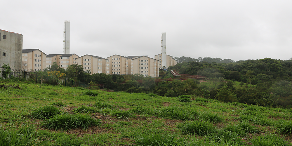 Imagem de um campo verde com árvores