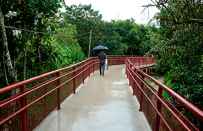 Imagem de uma estrada para caminhada