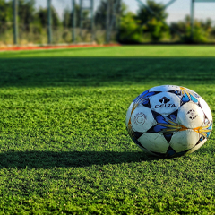 Imagem de um piquenique